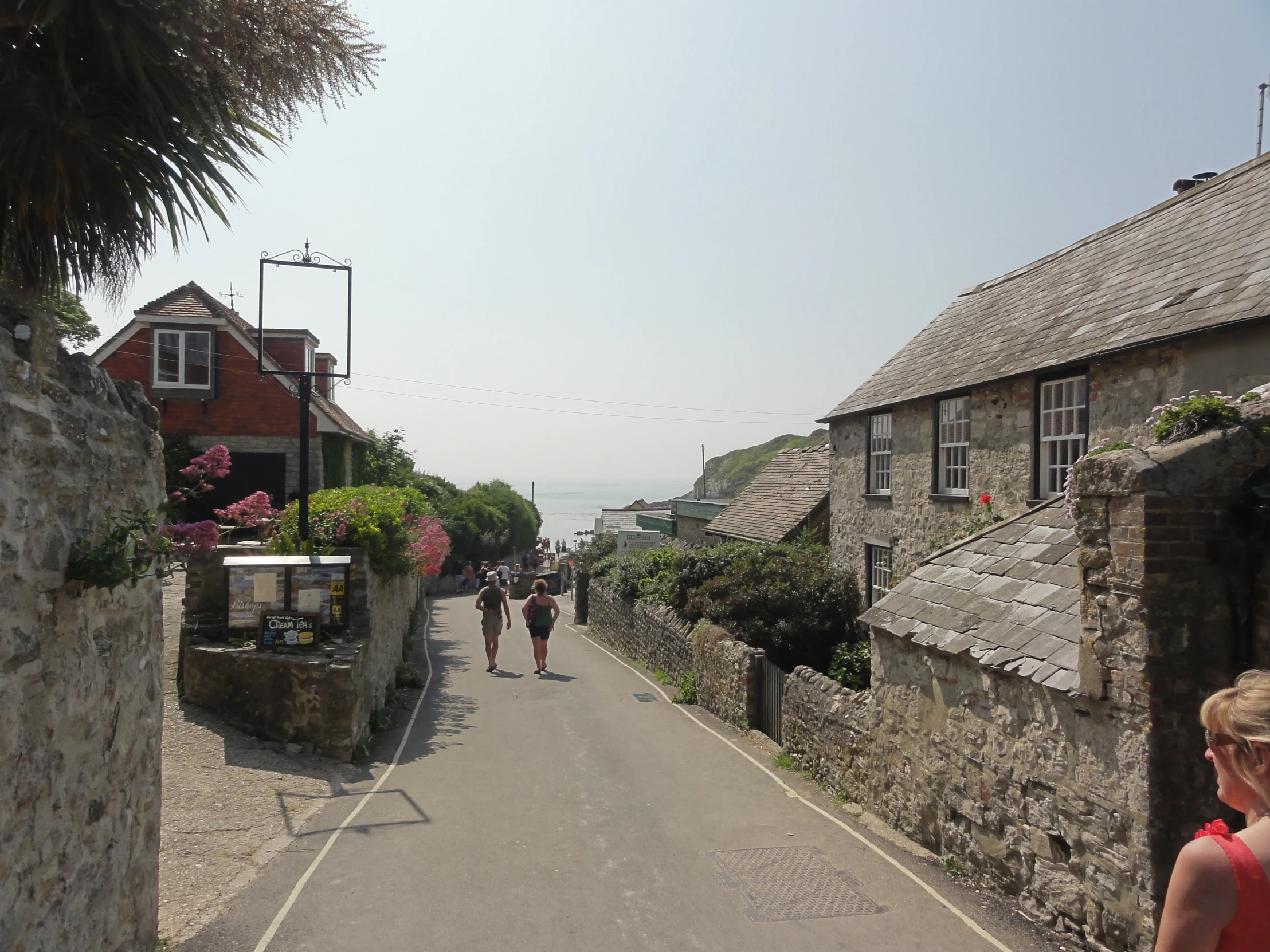 a road with a bunch of houses on it