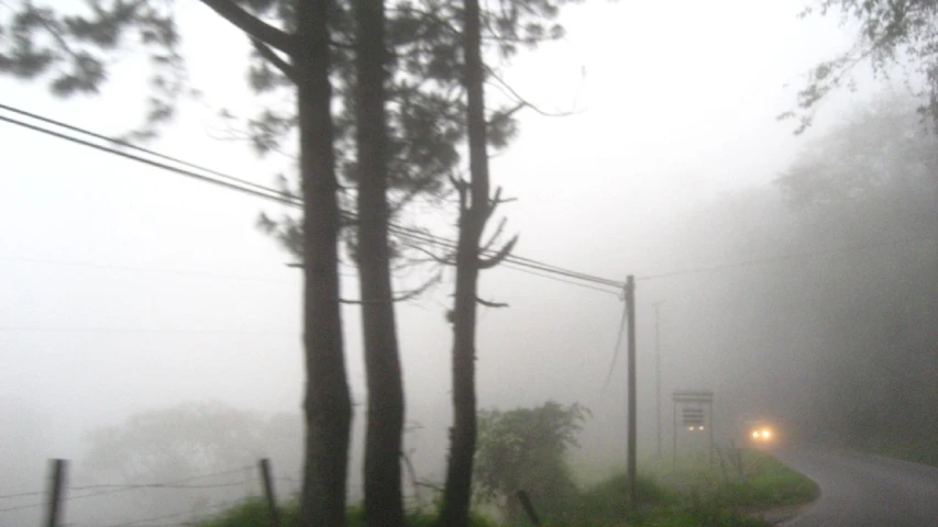 a car is driving through a foggy area