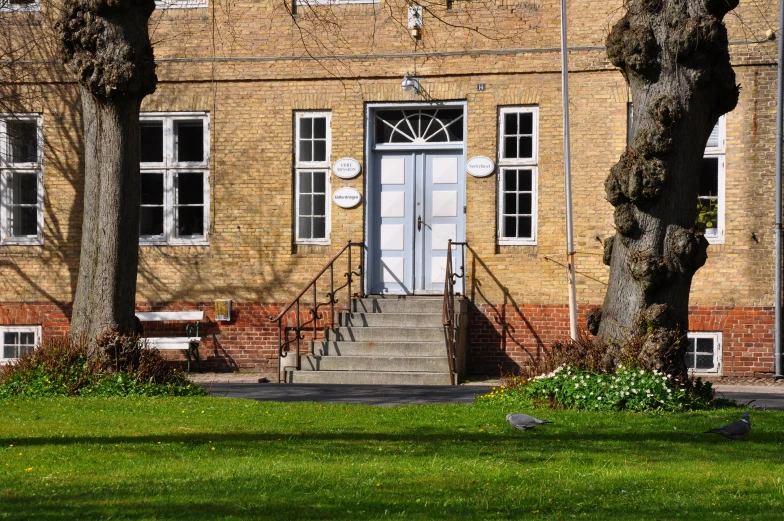 a building has three trees next to it