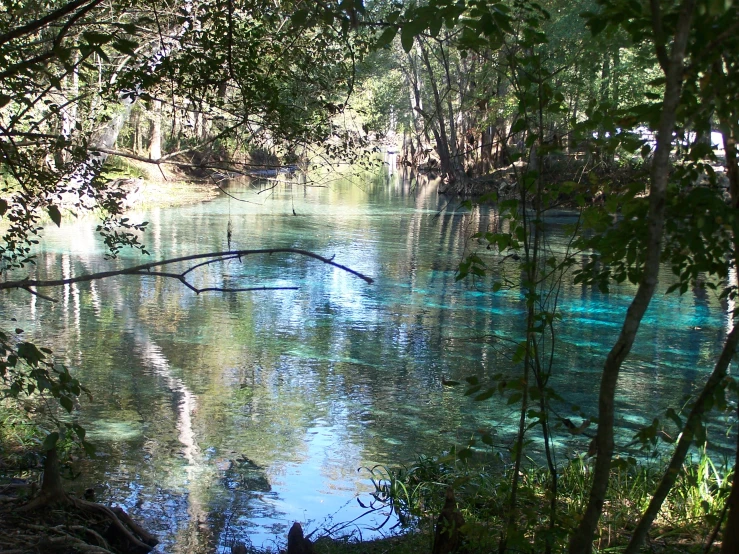 the trees are reflected in the blue river