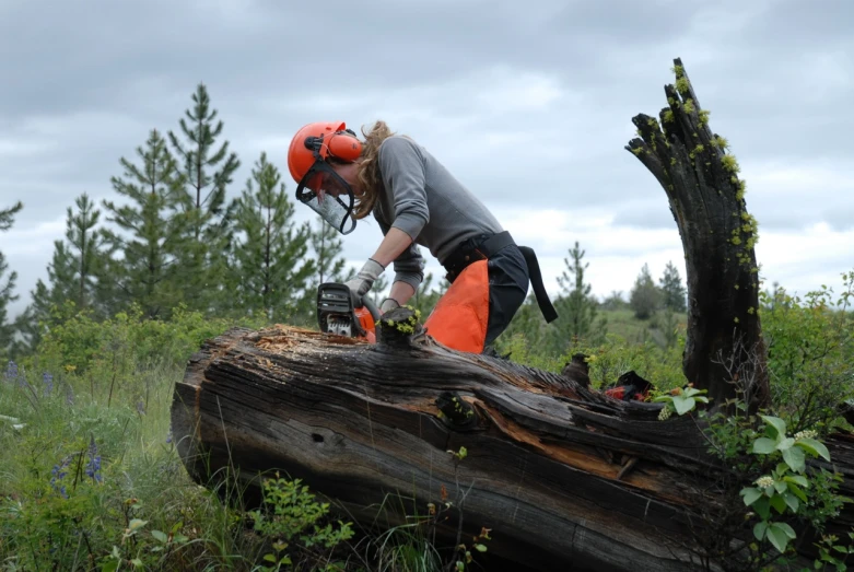 a woman standing on top of a tree stump with a chainsaw