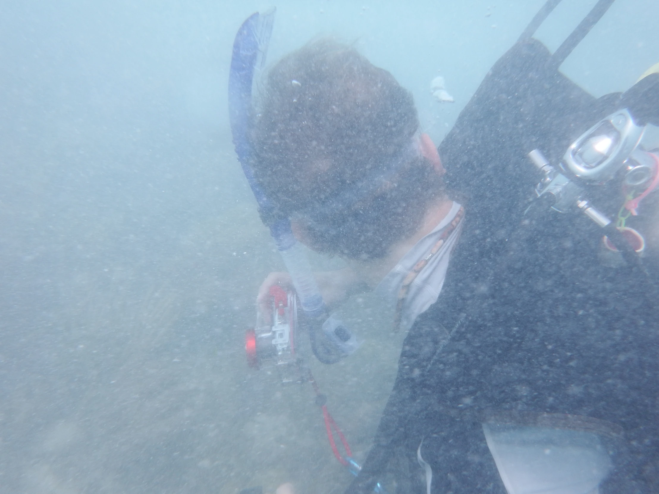 a person with a snowboard standing under water