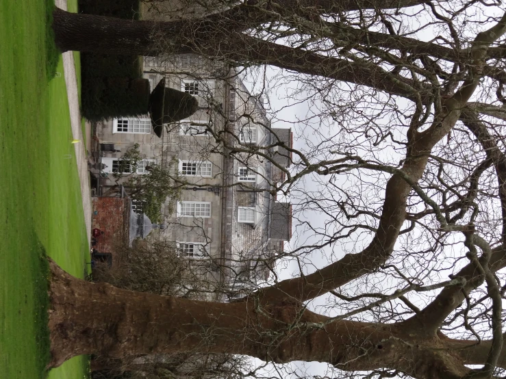 a large house with large trees near the grass