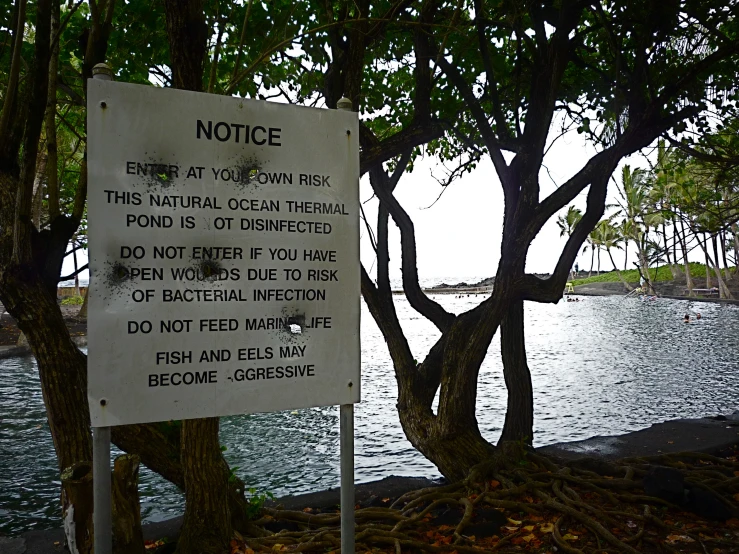 a sign is hanging on a tree next to the water
