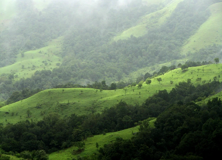 a hilly field on a cloudy day with fog in the background