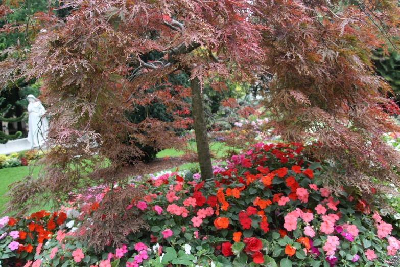 flowers and trees in a large flower garden