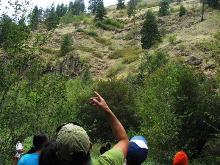 some s are looking up at a tree covered hill