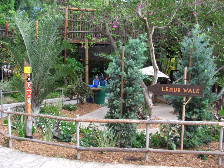 some people are in a treetop exhibit with lots of plants