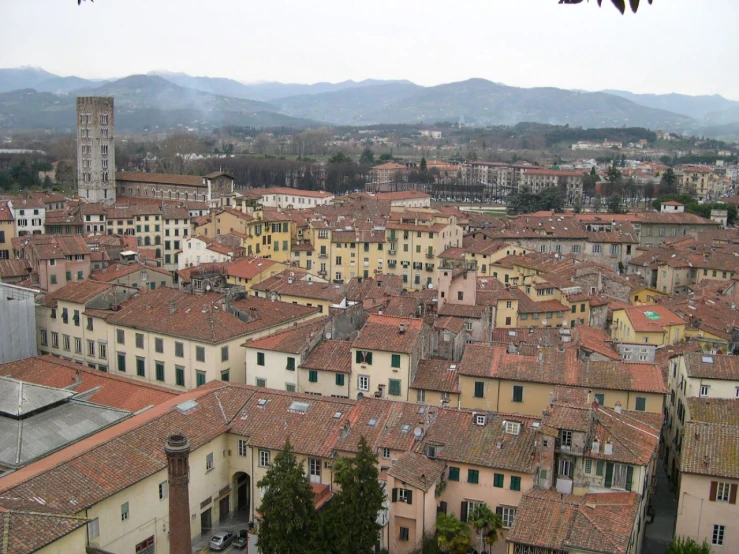 several buildings are sitting in the center of town