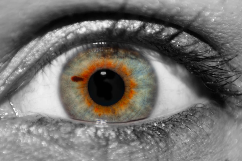 an eye with black and orange patches around the iris