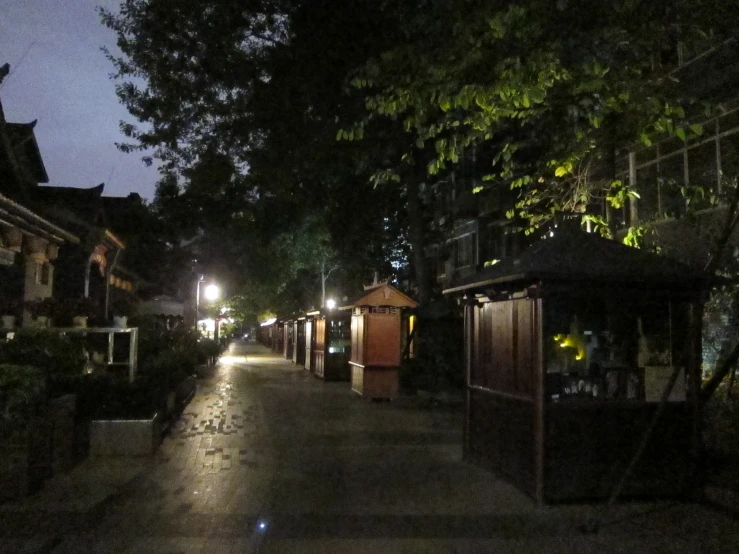 an alley way with lights at night with trees