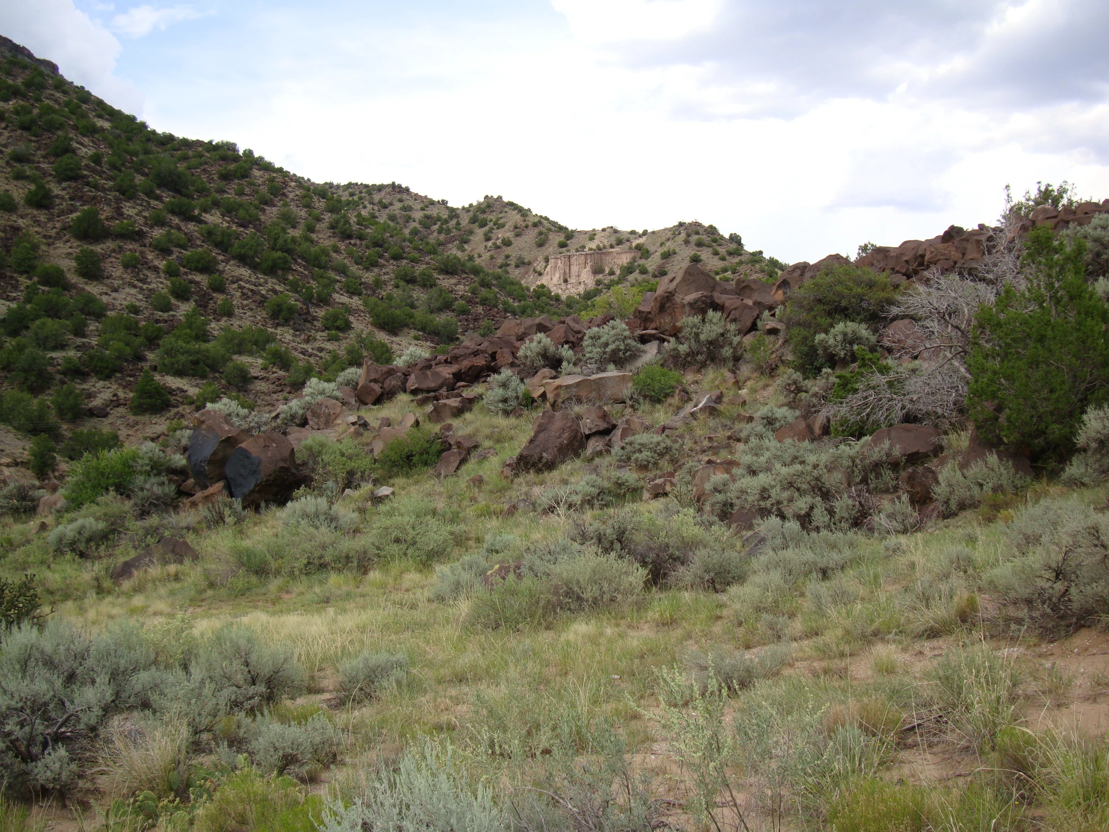 the mountain side is covered in shrubs and rocks