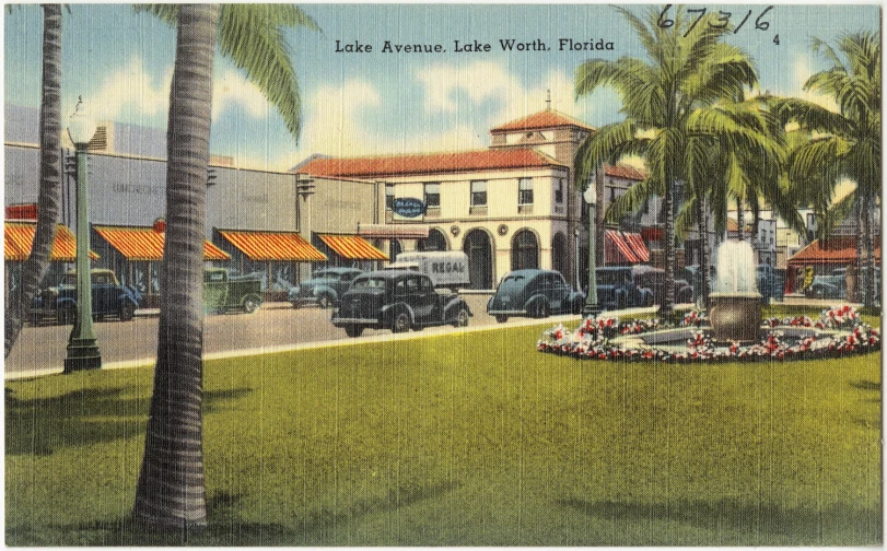 the old postcard features palm trees, buildings and cars