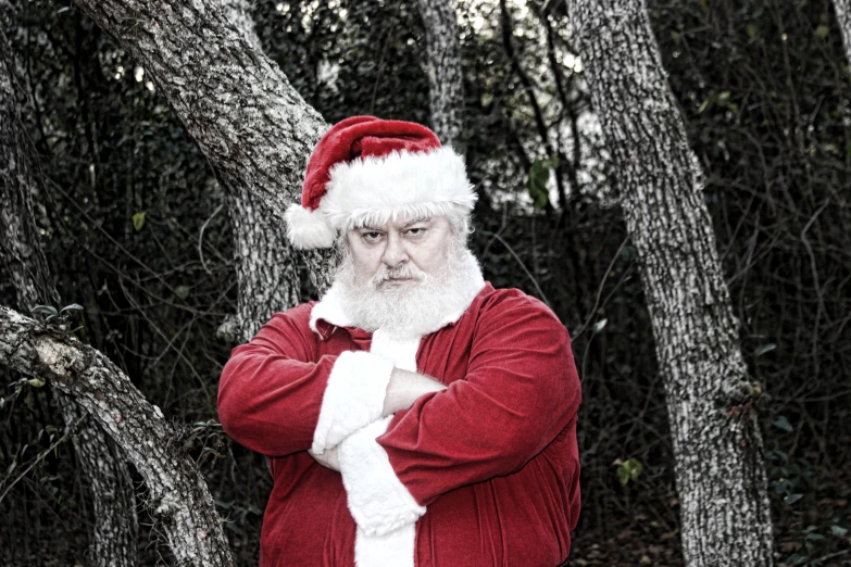 a man in santa outfit standing near a tree