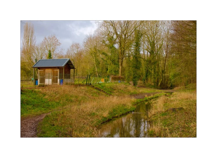 a small log cabin sits in the woods near a river