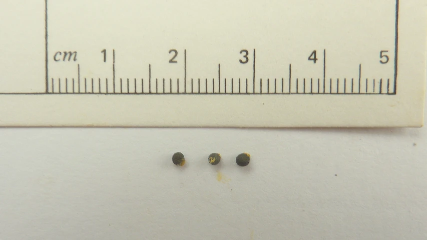 three tiny, plastic balls sitting on top of a ruler