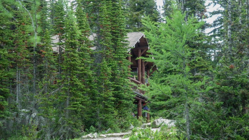 the train tracks can be seen through the trees