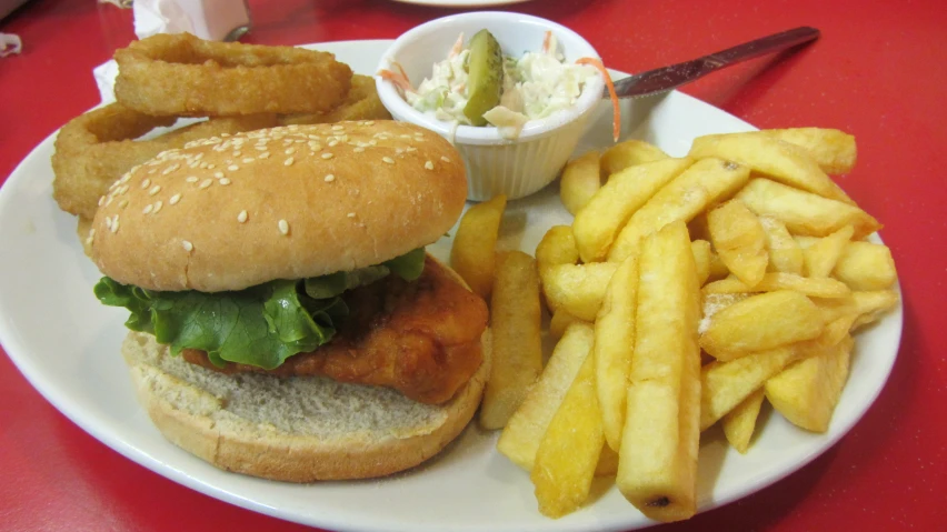 a white plate with a hamburger and fries on it