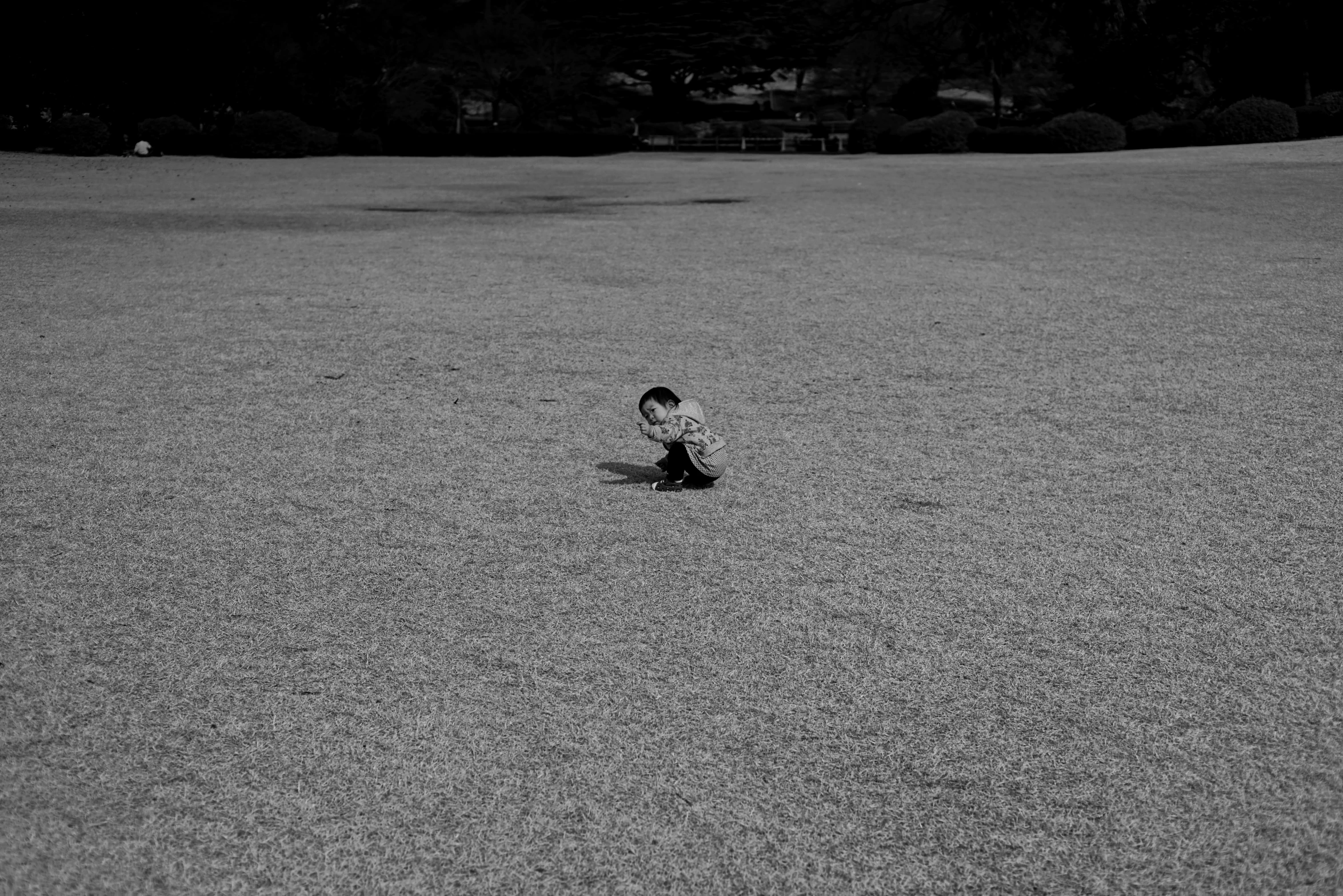 a person with a frisbee on a field