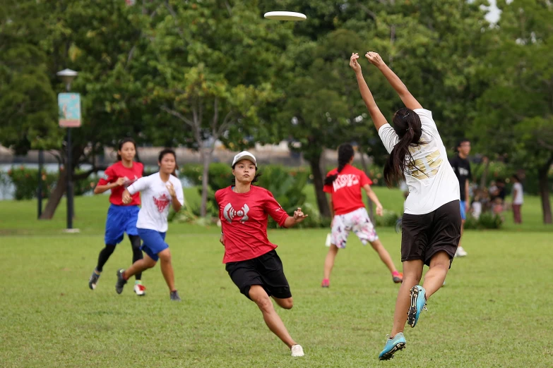 a group of people in a field playing frisbee