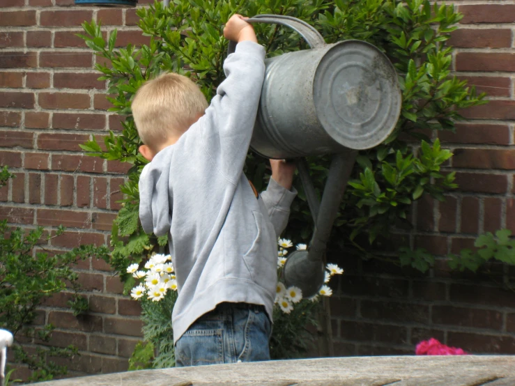 a little boy standing in front of some flowers pouring water onto some metal bucket