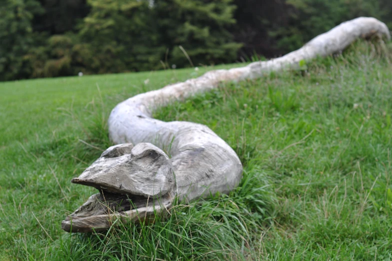 two wood sculptures in a green field by a fallen tree