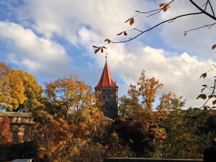 a church spire rising through the trees, against the sky