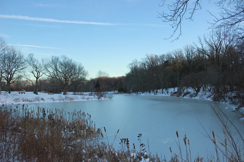 a lake in the winter snow with a forest behind it