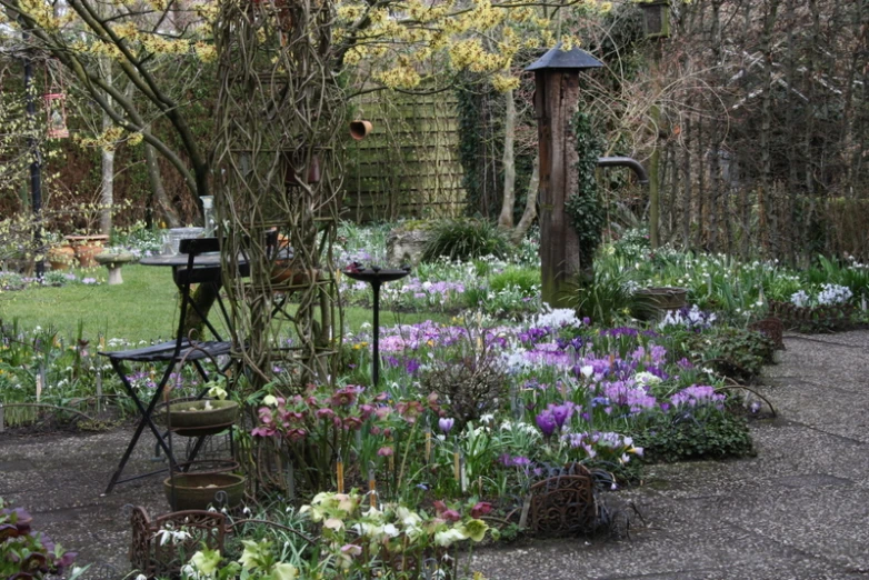 a garden that is surrounded by different types of flowers