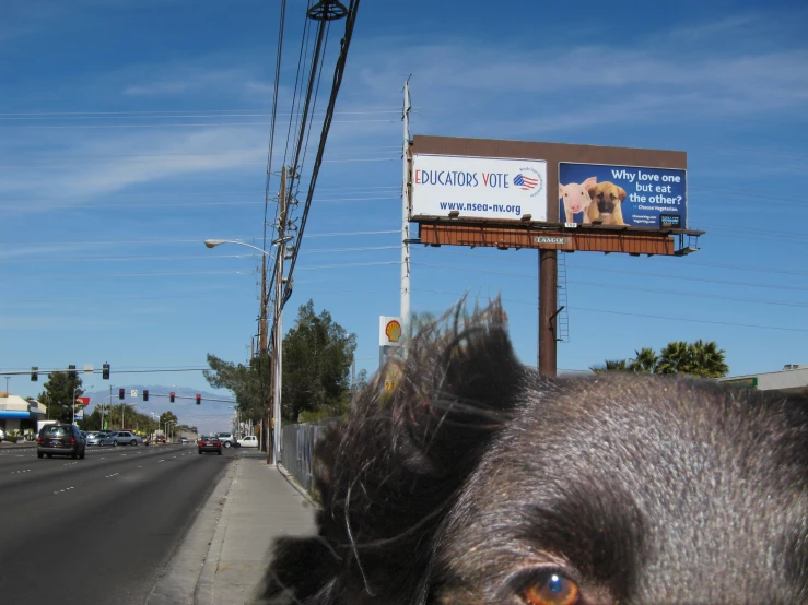 an image of an outdoor billboard on the side of the road