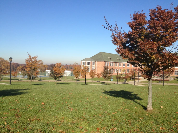 a grassy field has several trees in the background