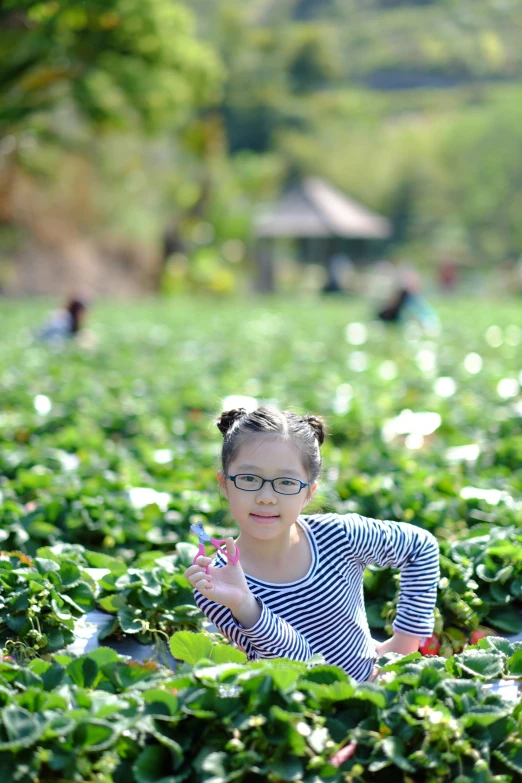 a little girl sitting in a field with lots of green plants