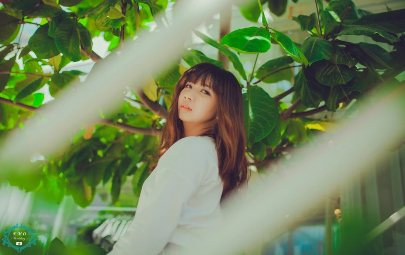 woman standing under leafy tree in white shirt