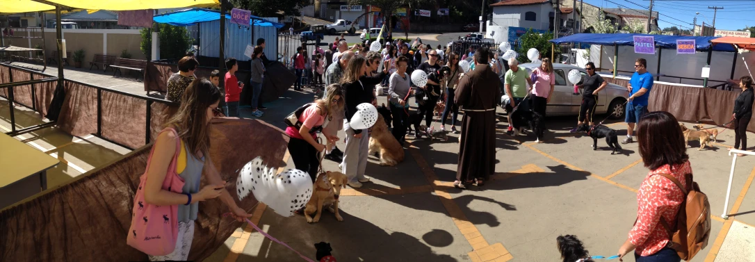 people and animals walk around a busy market