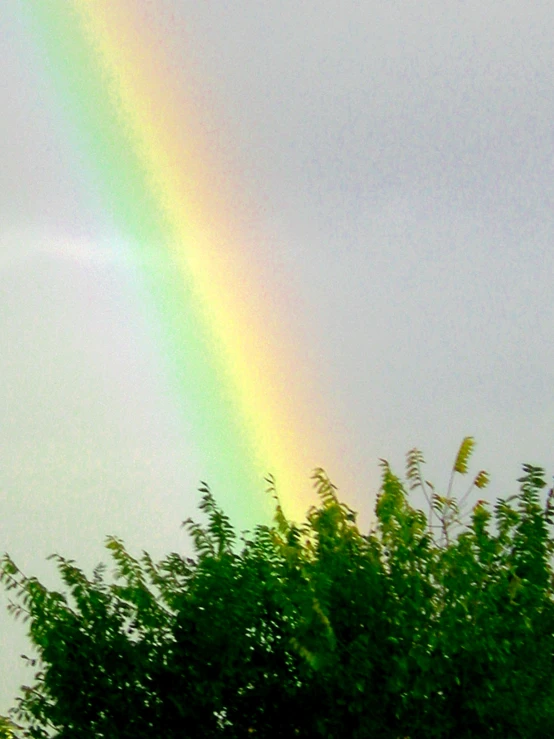 a rainbow appears in the sky during the day