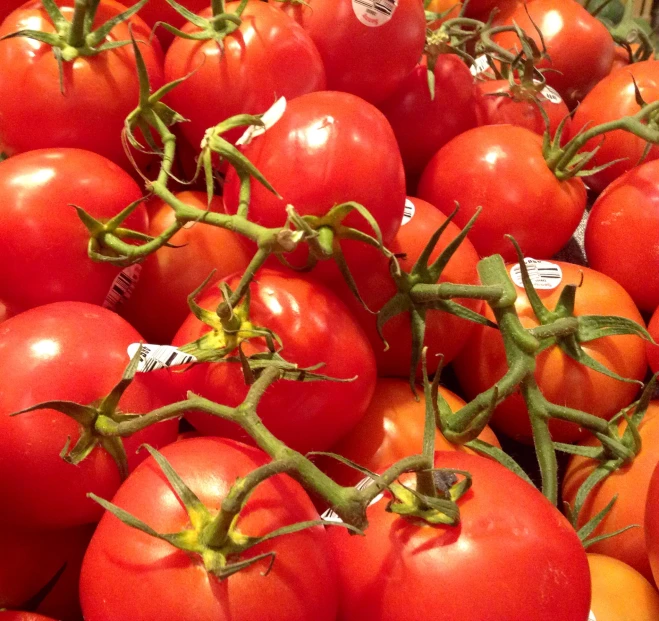 a pile of fresh tomatoes sitting next to each other