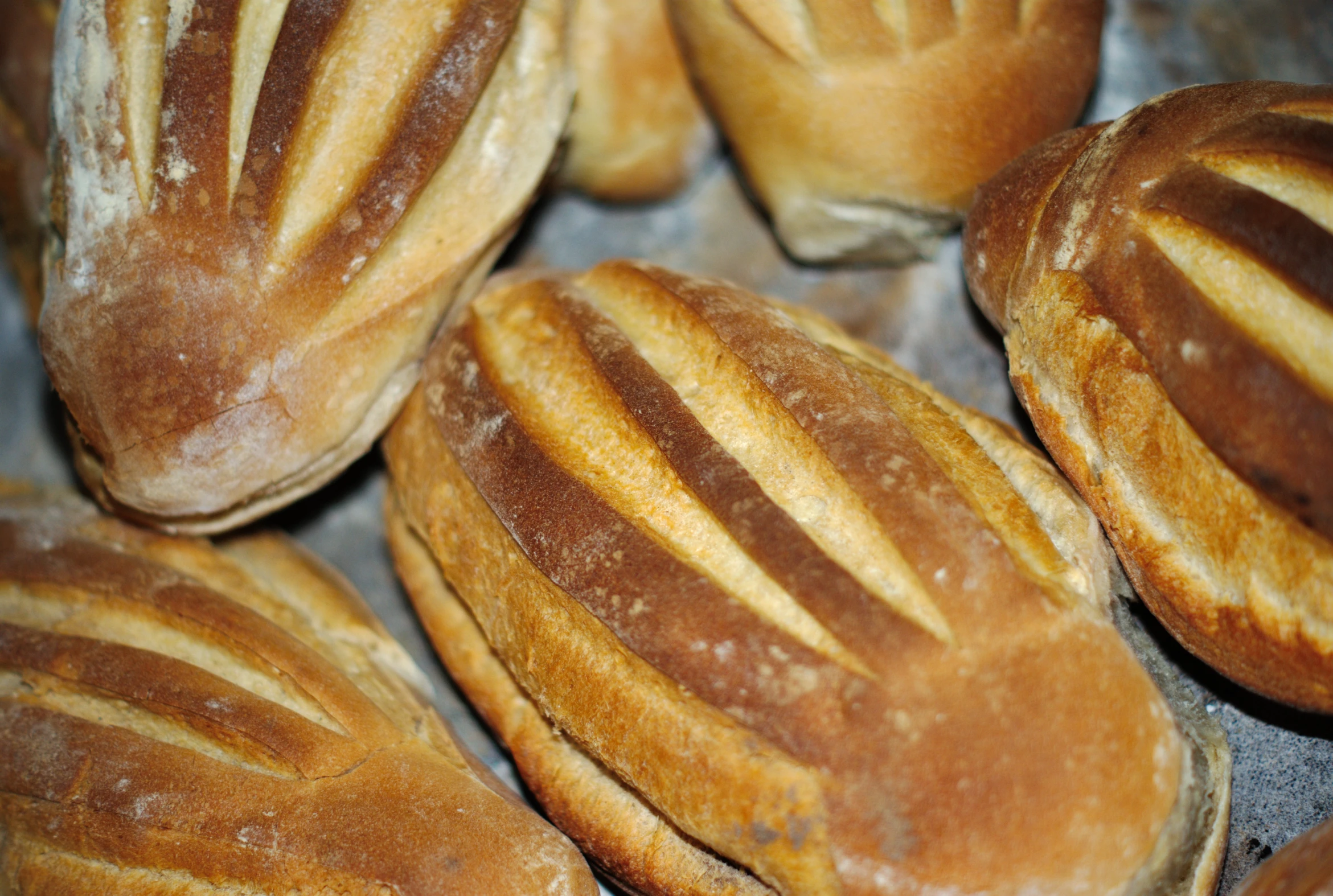 close up view of freshly baked breads on a table