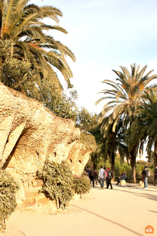 a street lined with tall palm trees and buildings