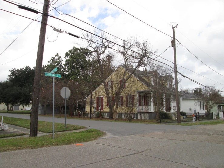 a home sits on a street corner with telephone wires in the front and trees and a blue street sign out front