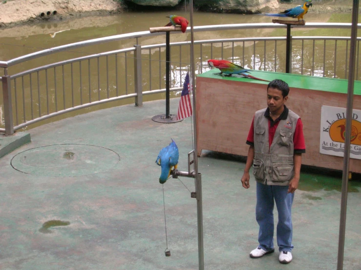 the man is standing next to a parrot fountain