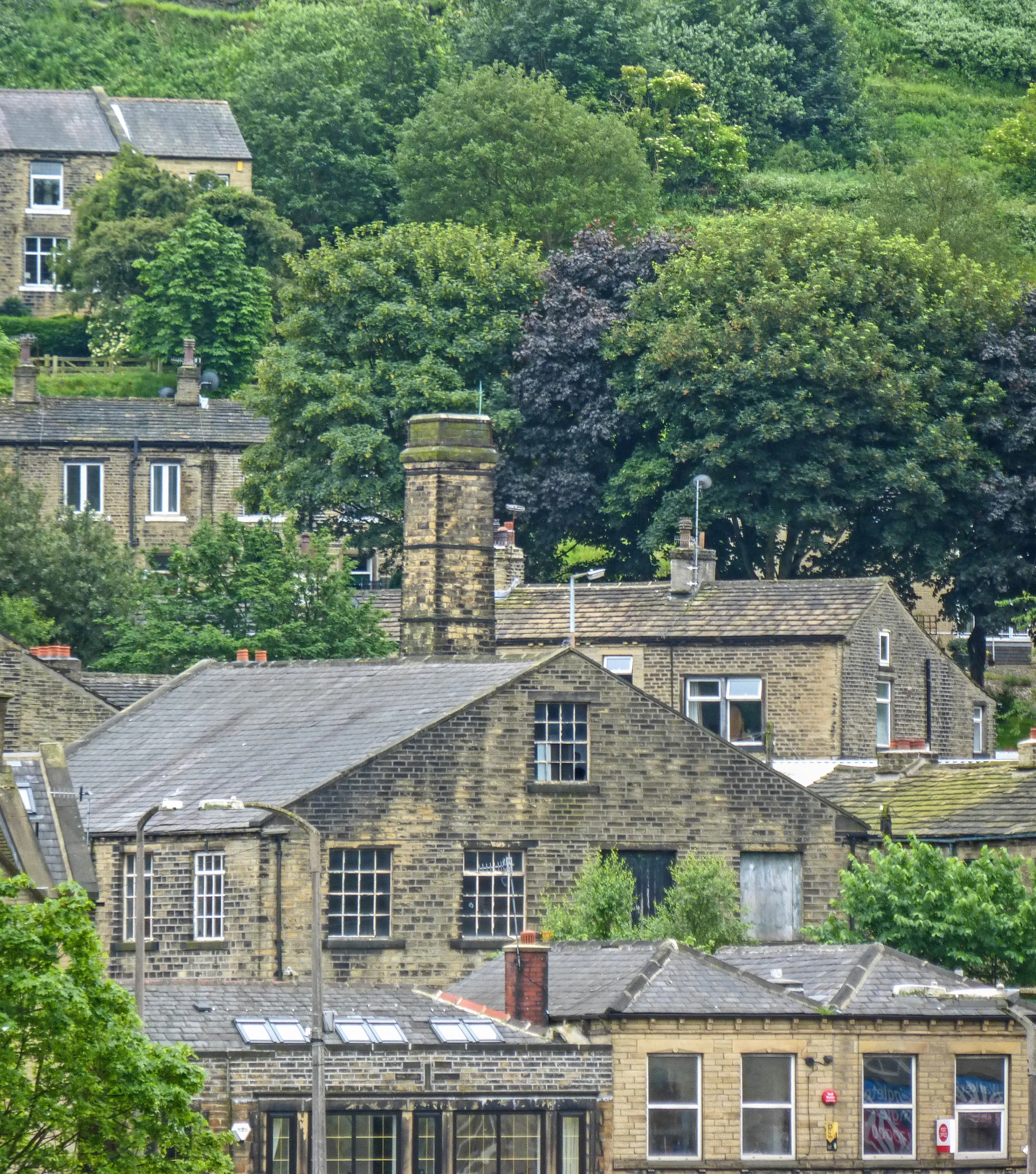 a village is shown with a large hill in the background