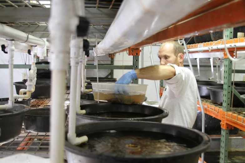 a person mixing food in large metal pans