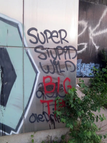 the graffiti is all over the concrete