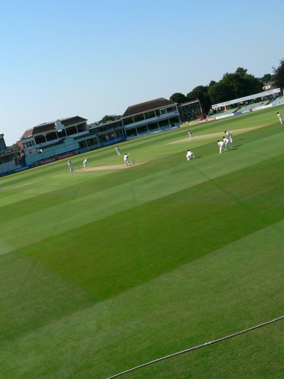 a cricket game taking place in the grass