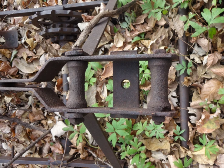 a rusted and worn rail with some leaves on the ground