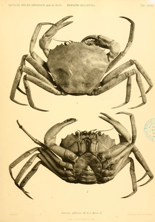 a vintage crab book is featured in this image