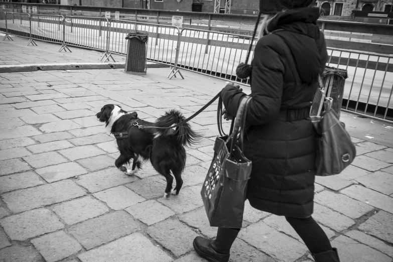 a person walks down a city sidewalk while holding the leash of their dog