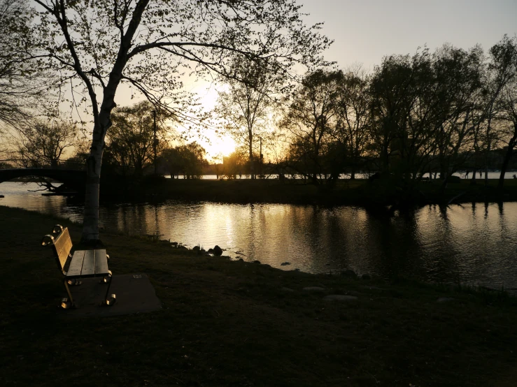 a park bench is located next to the river