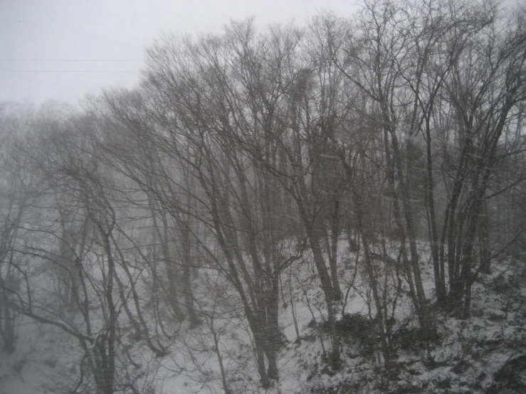 snow falling from the top of a mountain in a forest