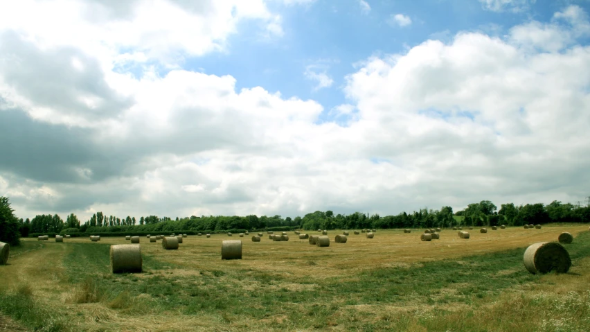 an open field with bales in the grass